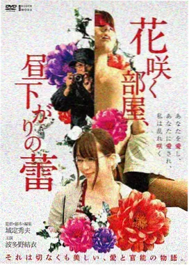 剧情长片雾中回声封面